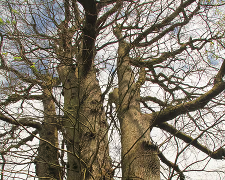 PXL047 en pleine forme !