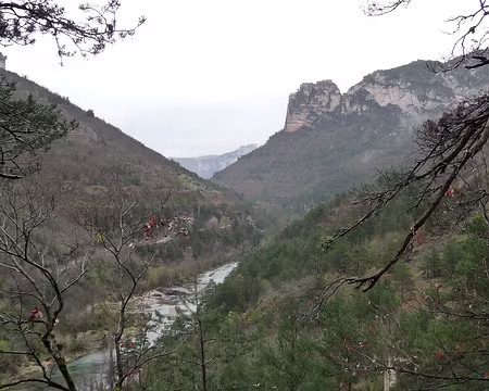 003 C'est un peu couvert...