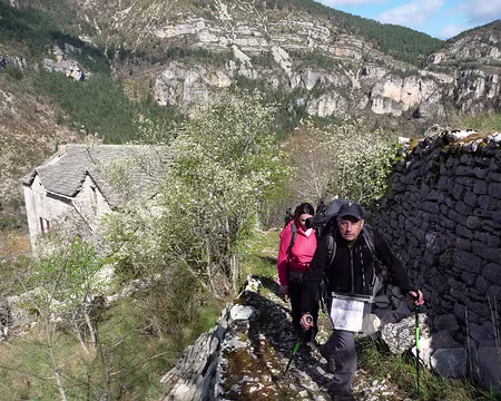 017 Le Chef en plein effort...