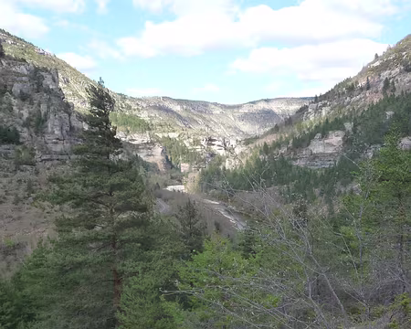 020 Les gorges après St-Chely-du-Tarn