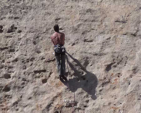 036 une autre activité mais sans doute pas un caffiste