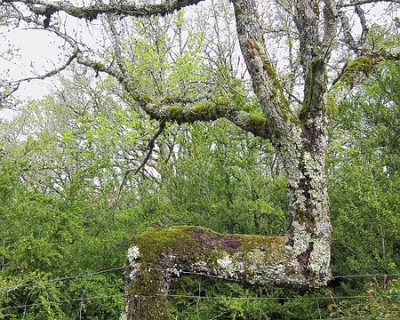 PXL025 Contrainte intériorisée