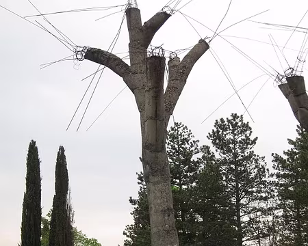 PXL160 L'avenir de la sylviculture