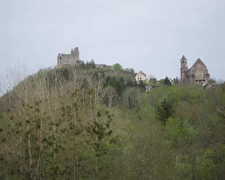 PXL181 Château et église de Najac