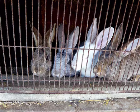 PXL029 On en mangerait