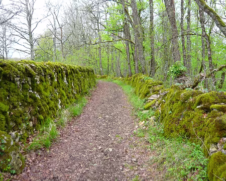 PXL053 Les murets quercynois