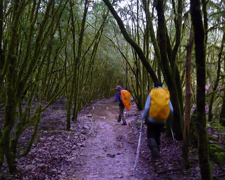 PXL056 Et son chemin-rivière