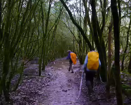 PXL056 Et son chemin-rivière