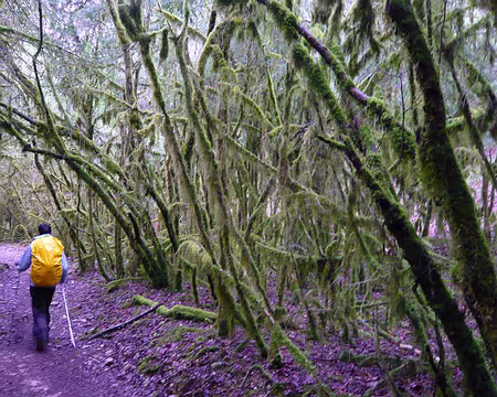 PXL058 Attention, il vont t'attraper Karine !