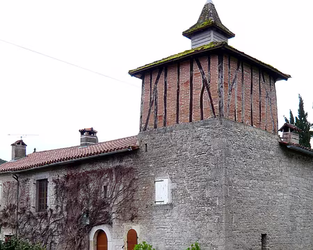 PXL065 Et Brousses en vrai