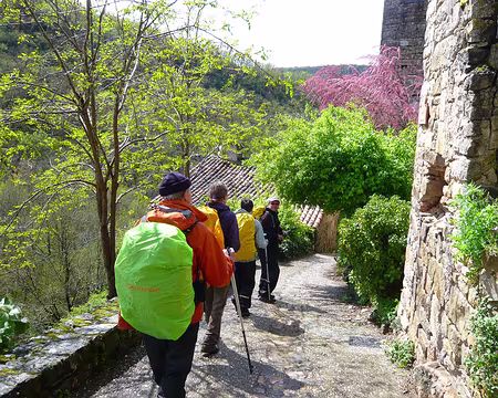 PXL080 Oh ! du soleil.