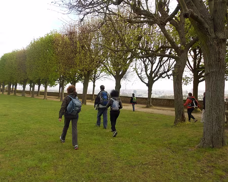 PXL009 Les terrasses de l'Observatoire de Meudon plantées de tilleuls