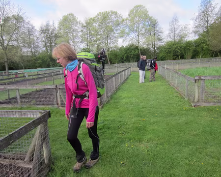 PXL004 mini-champs dans le parc du Sausset