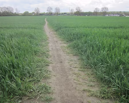 PXL007 Champ de la Butte de Montceleux