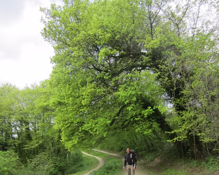 PXL015 l'aqueduc de la Dhuys