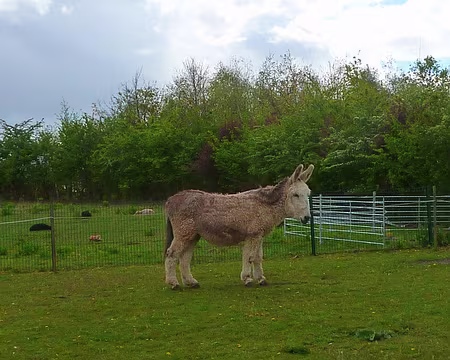 PXL032 le susnommé Gavroche