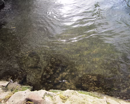 PXL038 l'eau de la Marne est très claire