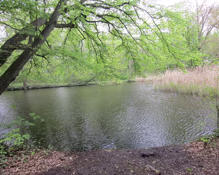 PXL066 parc de la Malnoue