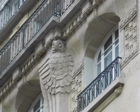 PXL030 ...et des chouettes.