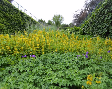 PXL047 Jardin de Reuilly