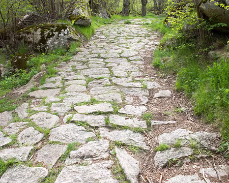 Chemin vers Dorres Route de Dorres