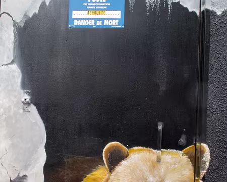 CK12RW53_26z1162 Attention danger, un ours !