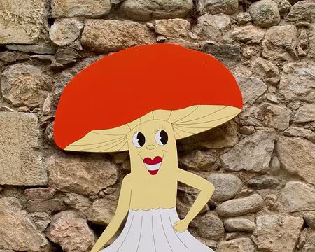 CK12RW53_29 Mycelia la jupette