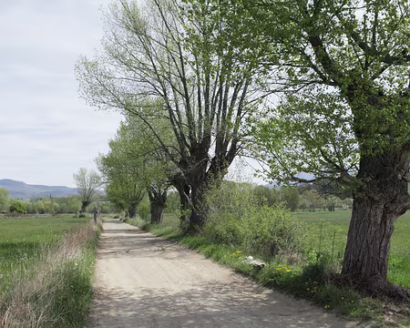 IMG_3830 Chemin de terre...