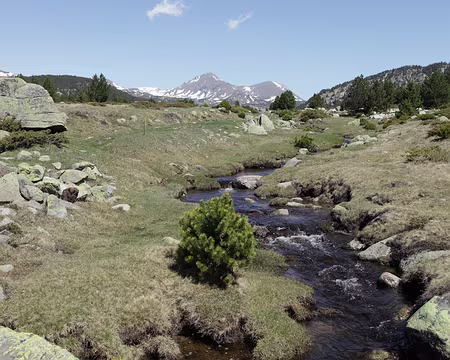 IMG_4279z1163 Pla de Bones Aures