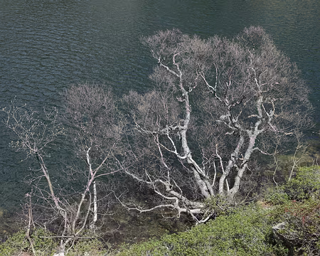 IMG_4338 Estany Llarg