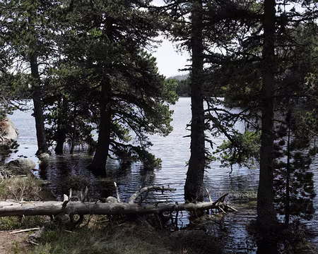 IMG_4359 Estany Negre