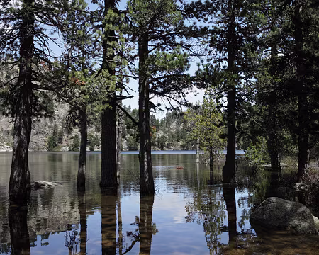 IMG_4387 Estany Negre