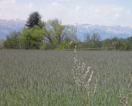 PXL002 entre Latour-de-Carol et Puigcerda.