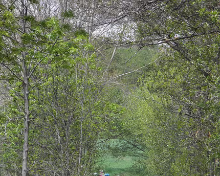 PXL029 entre Llivia et Villeneuve des Escaldes