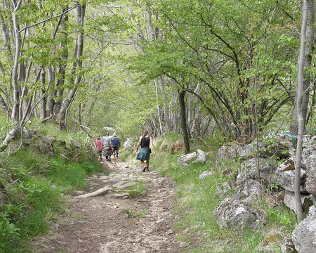 PXL034 descente de la chapelle vers Dorres