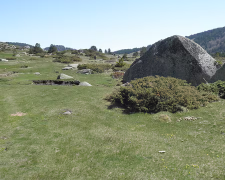 PXL050 pas très loin du lac des Bouillouses