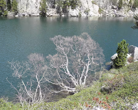 PXL054 l'étang Long