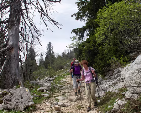 Un tour en Chartreuse Sud - 12RW39 Entre col de la Grande Vache et Col de la Charmette