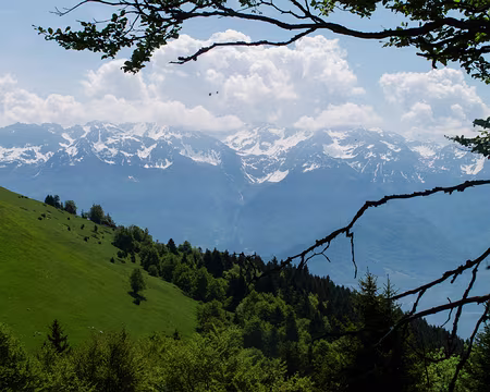 Un tour en Chartreuse Sud - 12RW39 Massif de Belledone