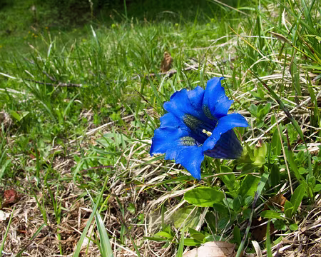 Un tour en Chartreuse Sud - 12RW39 Bien connu des Cafistes