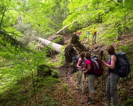 Un tour en Chartreuse Sud - 12RW39 Mais par où elle nous fait passer !