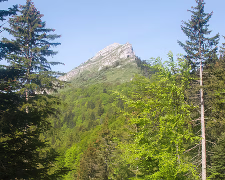 Un tour en Chartreuse Sud - 12RW39 La Pinea