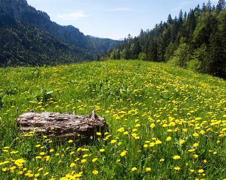 Un tour en Chartreuse Sud - 12RW39 Près de l'Habert de Billon