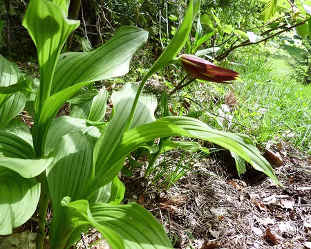 PXL054 pas encore ouvert