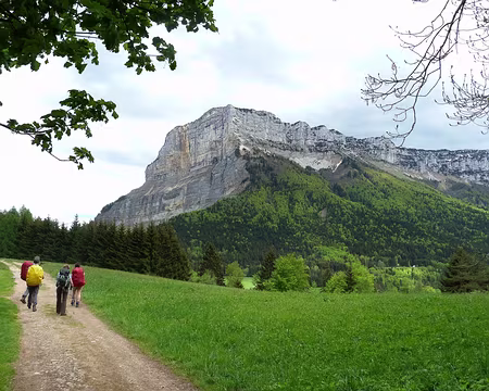 PXL057 Chartreuse album