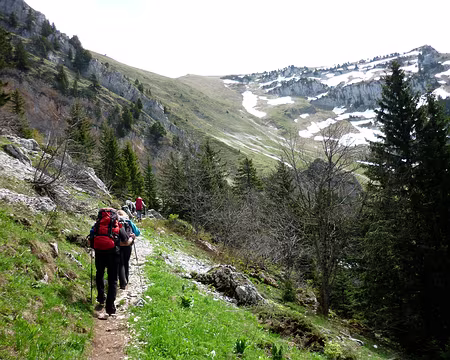 PXL013 Toujours plus haut (parfois, le modéré + est + que modéré)
