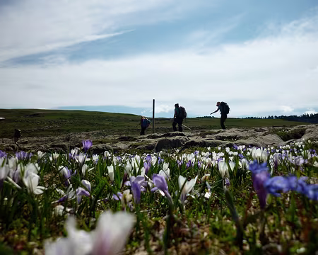 PXL027 Ou mettre les pieds pour ne rien écraser?