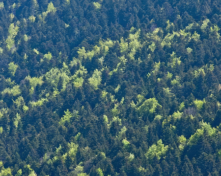 PXL005 Vert sur vert