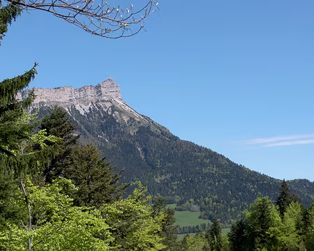 PXL012 Descente vers le Sappey-en-Chartreuse dominé par le Chamechaude