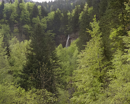 PXL049 Panoramique vertical de la cascade du Guiers
